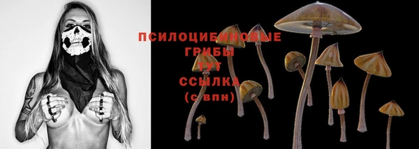 ешки Алексеевка